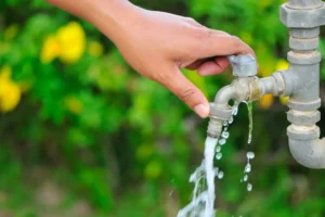 2025-01 Financials and Water Consumption Update