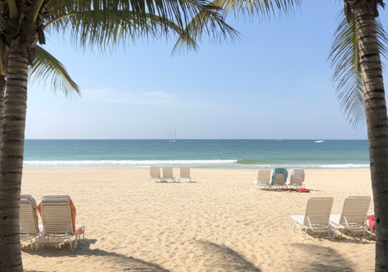 A Changing Season for Snowbirds in Florida