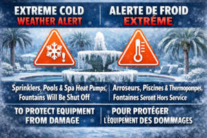 Extreme Cold/Freeze/Wind Warning January 31st – February 1st