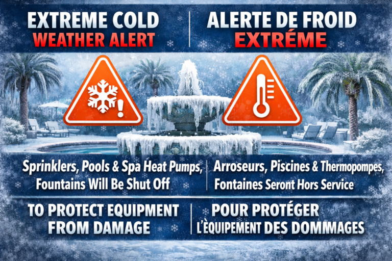 Extreme Cold/Freeze/Wind Warning January 31st – February 1st