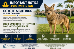 Coyote Sightings on the Property — Please Stay Alert and Keep Pets Safe