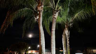 IMG 4072